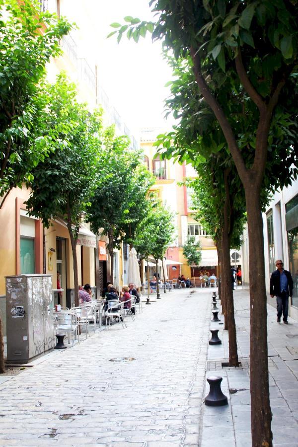 Plaza Nueva Terraza Lejlighed Sevilla Eksteriør billede